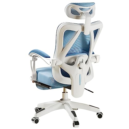 DGDHHSFJDJ Ergonomischer Bürostuhl aus Netzstoff – höhenverstellbar mit Lordosenstütze und Neigung, drehbarer Computer-Schreibtischstuhl mit hoher Rückenlehne und Armlehnen DGDHHSFJDJ Ergonomischer Bürostuhl aus Netzstoff – höhenverstellbar mit Lordosenstütze und Neigung, drehbarer Computer-Schreibtischstuhl mit hoher Rückenlehne und Armlehnen von DGDHHSFJDJ