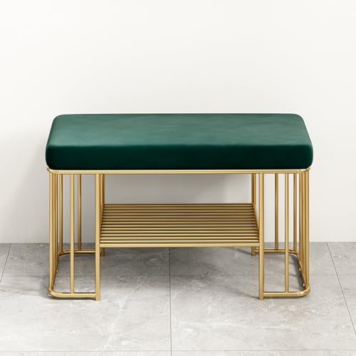 DGDHHSFJDJ Moderne gepolsterte Schuhaufbewahrungsbank mit Samtsitz, 2-stufige Schuhregalbank für den Eingangsbereich für den Flur DGDHHSFJDJ Moderne gepolsterte Schuhaufbewahrungsbank mit Samtsitz, 2-stufige Schuhregalbank für den Eingangsbereich für den Flur von DGDHHSFJDJ