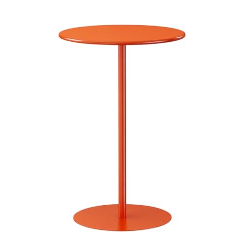 DGDHHSFJDJ Runder Bistrotisch in Barhöhe, für den Innen- und Außenbereich, Cocktailtisch mit Metallfuß, für die Küche, das Esszimmer und den gewerblichen Gebrauch, moderner High Top-Konferenztisch von DGDHHSFJDJ
