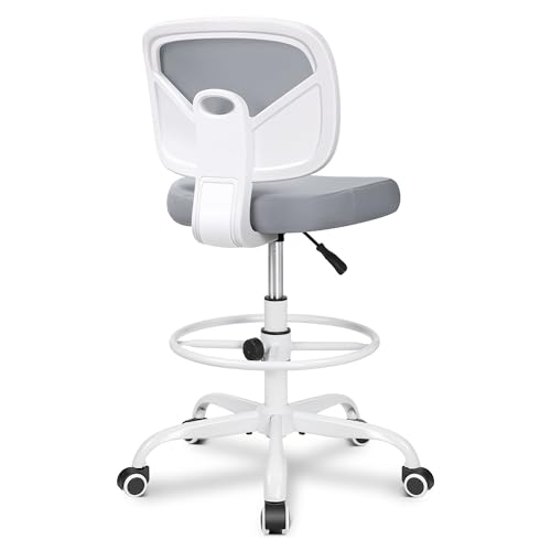 DGHNBMGNG Home-Office-Stuhl, Verstellbarer ergonomischer Drehsitz, Armlehnen mit Lordosenstütze, hochdichter Netz-Studierstuhl, 360-Grad-Drehung, geeignet for Männer/Frauen(White 2) von DGHNBMGNG