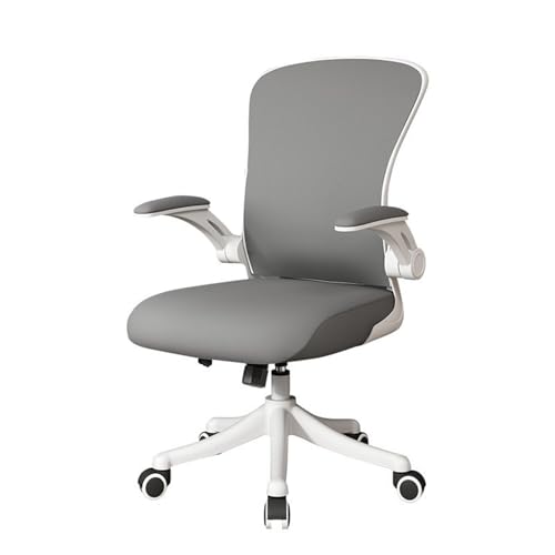 DGHNBMGNG Stilvoller und einfacher ergonomischer Bürostuhl mit leisen Rollen, atmungsaktiver Netz-Computerstuhl mit Verstellbarer Lordosenstütze und Armlehnen(Gray) von DGHNBMGNG
