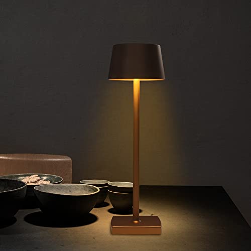 DGJMuu Wiederaufladbare Tischlampe, Tischlampe Kabellos, Nachttischlampe, Aluminium, LED Tischlampe, Geeignet Schlafzimmer Esszimmer Kaffee Haus und Garten von DGJMuu