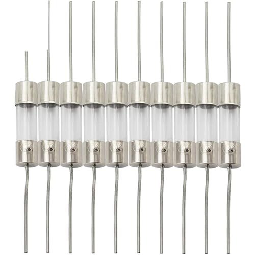 100 STÜCKE 5 * 20mm Fuß Bleiglassicherung Flink/Träge 250 V 0.5A 1A 1.5A 2A 3A 3.15A 4A 5A 6.3A 10A 15A 20A 25A 30A 5x20mm Sicherungsrohr(4A) von DGLASKRWY