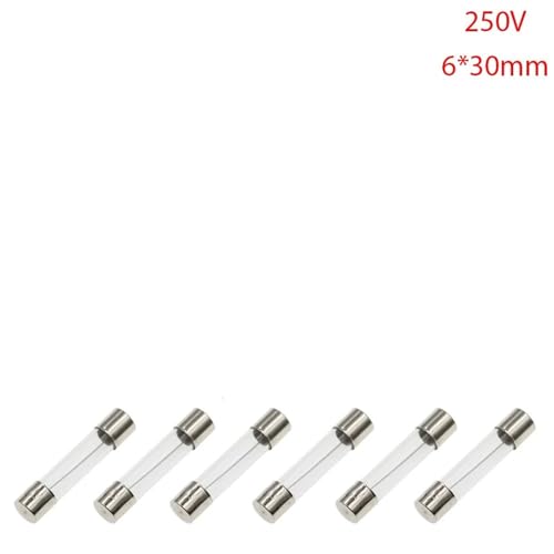 100 STÜCKE 6X30 MM flinke Glassicherungen Assorted Kit 6 * 30mm 250 V 0,5 A 1 A 2 A 3 A 4 A 5 A 6 A 8 A 10 A 15 A 20 A 25 A 30 A AMP Rohrsicherungen(F10A) von DGLASKRWY