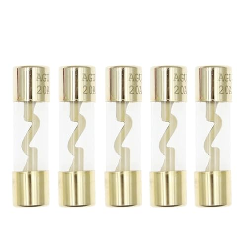 5 STÜCKE 10 * 38 MM Vergoldete Glas AGU Sicherung Sicherungen Pack Auto Audio Amp Verstärker 10A 15A 20A 25A 30A 40A 50A 60A 70A 80A 100A Auto Sicherung(10A) von DGLASKRWY