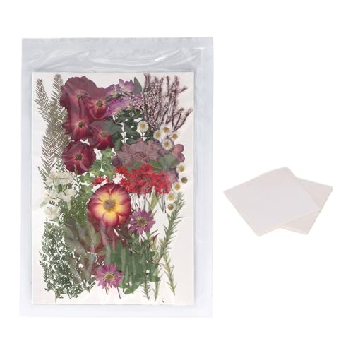 Gepresste Blumen trocken Blumenmaterial Kit für Harzformen Scrapbooking Art Crafts Schmuck machen 100 Stücke von DGLDCSHUAI