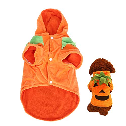 Lustige transfiguring Haustierkostüm Halloween Party Cosplay -Kleidung Kleidung Hunde Katzen XS S M L XL Innen im Freien (XL) von DGLDCSHUAI
