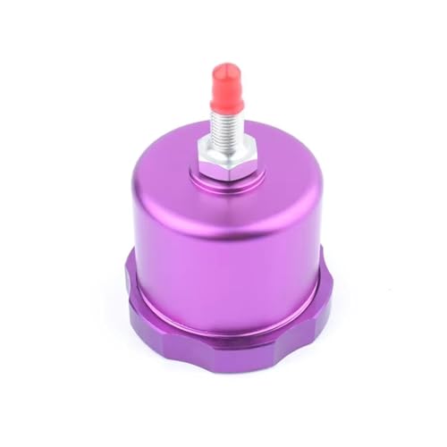 DGOINGPI Feststellbremshebel Automodifikation Racing Universal Hydraulische Handbremse Topf Drift Hydraulische Handbremse Öl Topf Bremsöl Vorratstopf(Purple) von DGOINGPI