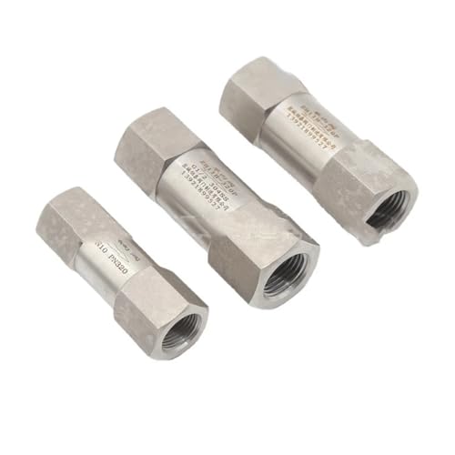 Sicherheitsventil Wasser-Druckventil 1/4 "3/8" 1/2 "3/4" BSP NPT Weiblich 304 Edelstahl Feder Rückschlagventil Einweg-Rückschlagventil 4500 PSI(1/4",BSPT Female) von DGOINGPI