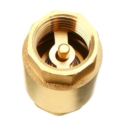 Sicherheitsventil Wasser-Druckventil 1 stück massivem messing edelstahl frühling 1/2 ''NPT Messing Gewinde In-Line Frühling Rückschlagventil Sicherheitsventil Wasser-Druckventil 1 stück massivem messing edelstahl frühling 1/2 ''NPT Messing Gewinde In-Line Frühling Rückschlagventil von DGOINGPI