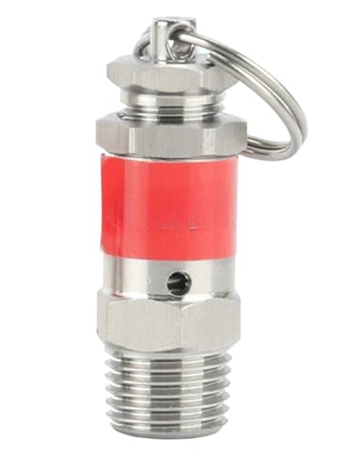 Sicherheitsventil Wasser-Druckventil Mini 1/8 "1/4" BSPT Männlich 0,5-10 304 Edelstahl Sanitär Frühling Druck Relief Sicherheitsventil Luft Kompressor(0.7mpa 7Bar,1l4 BSPT) von DGOINGPI
