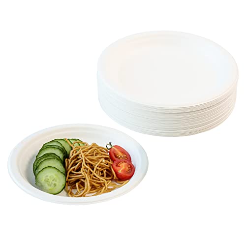 DHAIQC 60 Stück Kompostierbare Pappteller 17,8cm, Einwegteller Strapazierfähiger Natürliche Bagasse Teller, Partyteller Einweggeschirr aus Zuckerrohrschnitzel Biologisch Abbaubarer (Weiß, 17,8cm) von DHAIQC