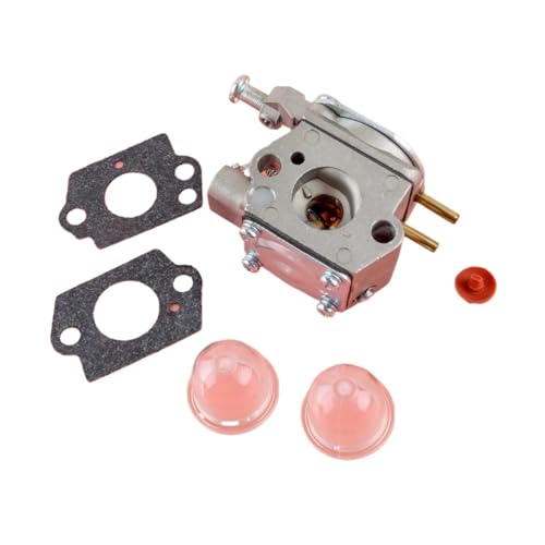 Vergaser-Kit 5131000612 308054001 Passend for Rbl30mva B Rlt30ces Hbl26bp Hbc26sj Hbc26sjs Hbl26bv von DHBSVZX
