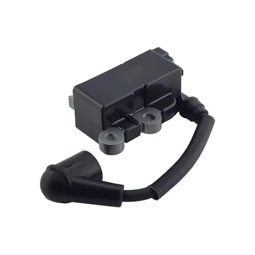 Zündspule Modul 291337001 291337008 Fit for Ry251ph Ry252cs Ry253ss Ry254bc von DHBSVZX