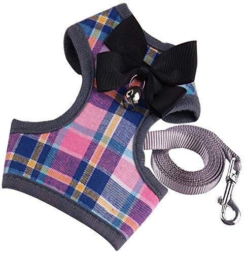 DHGTEP Anti Zug Tartan Hundegeschirr und Leine Set mit Niedlichen Fliege ＆ Bell Welpengeschirr Kitty Führen Seil Set für Kleine Hunde Große Katzen im Freien Gehen (Color : Orange, Size : Medium) von DHGTEP