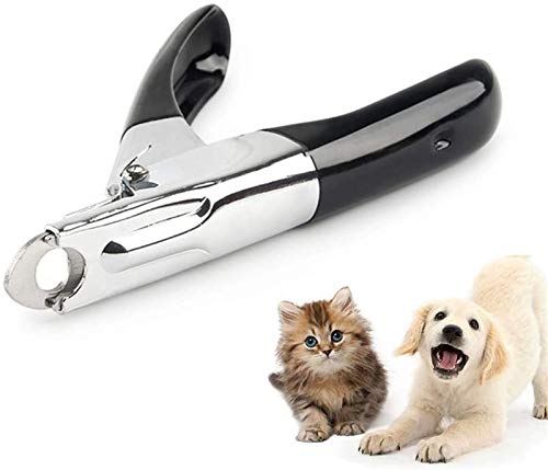 DHGTEP Hund Kralle Clipper Guillotine Stil Hund Nagel Trimmer Safe Katze Kralle Clippers Cutter Edelstahl Haustier Zehennagelknipser für Katzen Hunde (Color : Black) von DHGTEP