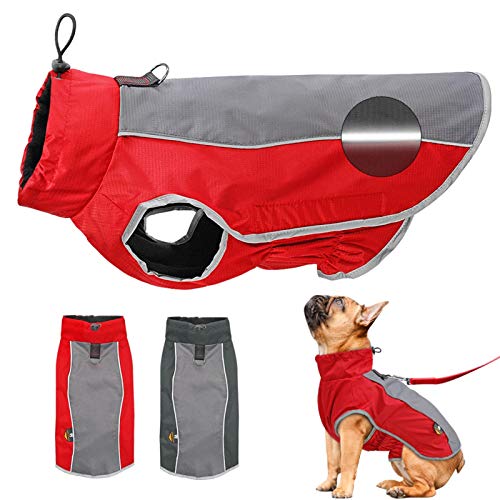 DHGTEP Hundekleidung Reflektierende wasserdichte Haustier Jacke Wintermantel Welpen Kleidung für Kleine Mittlere Große Hunde Pitbull Bulldogge (Farbe : Rot, Größe : L) von DHGTEP