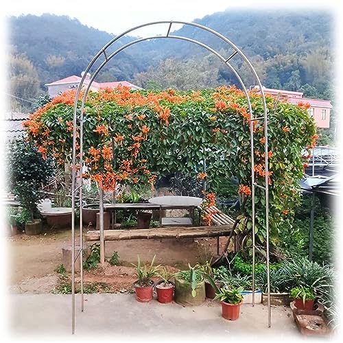 DHGVCED Gartenbogen Aus Edelstahl Rosenbogen Aus Metall Garten Torbogen Rankgitter Rosenhilfe Wetterbeständig Rankhilfe Spalier (Size : 150 * 240cm(59 * 94in)) von DHGVCED