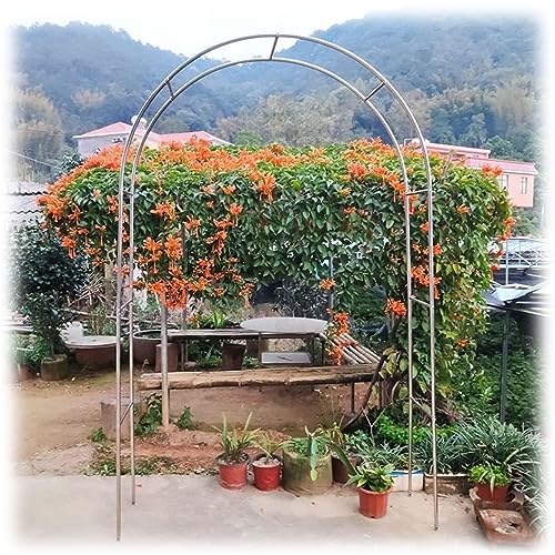 DHGVCED Gartenbogen Aus Edelstahl Rosenbogen Aus Metall Garten Torbogen Rankgitter Rosenhilfe Wetterbeständig Rankhilfe Spalier(Size:180 * 240cm(70 * 94in)) von DHGVCED