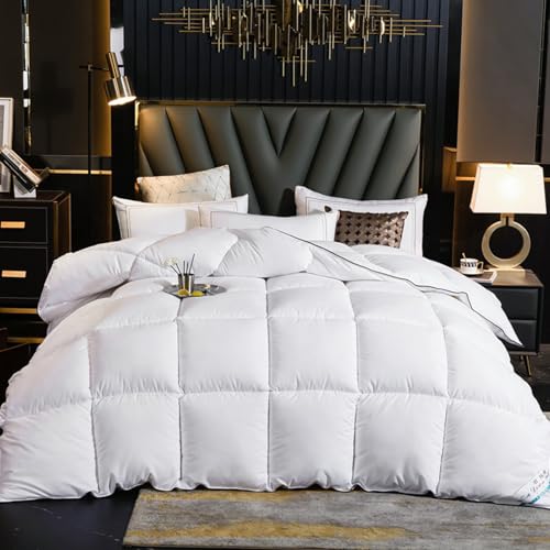 Daunendecke 180x220cm Ganzjahresdecke Bettdecke, Komfort Leichte Bettdecke 4 Jahreszeiten Steppdecke Warm Bettdecke mit Gänsedaunen und Federn Ultraweich Duvet (C 180 * 220cm 3.5kg) von DHIJUPNG