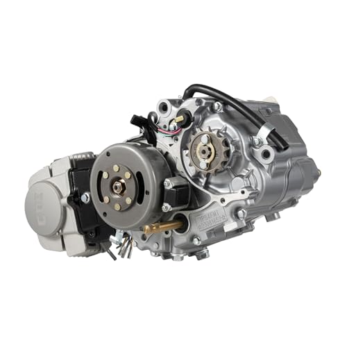 Pocket Bike Motor 125cc, 4-Takt Engine Motors, 4-Gang Go Kart mit Motor-Benzin, 6.5KW Gokart mit Motors für Go-Kart Dirt-Bikes Mini Dirt Bike ATV Roller, 900ml Lubricant Capacity von DHQCQL