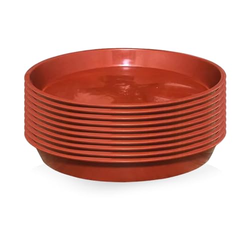 DHSBGWSX 10 Stück Pflanzentablett, Mini-Terrakotta-Topf, Topfpflanzen-Tablett, Gartenbehälter, Blumentopf-Basis (Rot) von DHSBGWSX