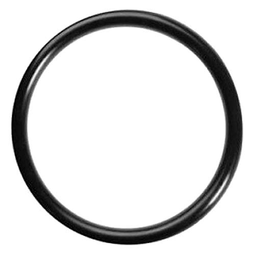 DICHTUNG O-RING FÜR ESE44 PADS KAFFEEMASCHINEN (DIDIESSE, FABER, LA PICCOLA, GRIMAC, SPINEL, UNION GROUP) von Didiesse