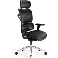 Ergonomischer Bürostuhl Computerstuhl Chefsessel DIABLO V-COMMANDER: schwarz Ergonomischer Bürostuhl Computerstuhl Chefsessel DIABLO V-COMMANDER: schwarz von DIABLO