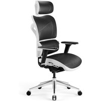 Ergonomischer Bürostuhl Computerstuhl Chefsessel DIABLO V-COMMANDER: schwarz-weiß von DIABLO