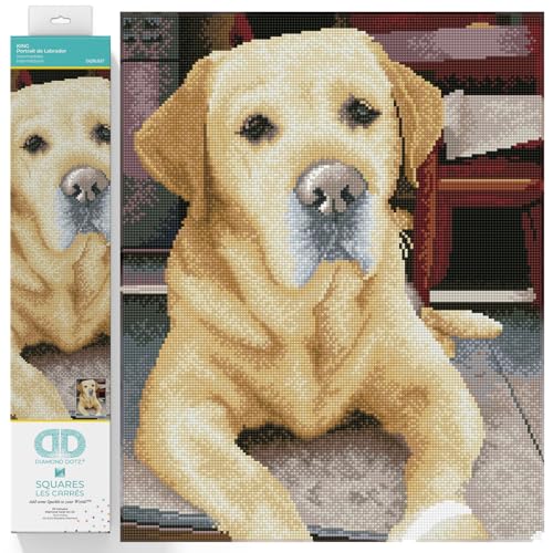 DIAMOND DOTZ 2592631 Original 5D Diamond Painting Squares Set, Labrador, DIY Diamant-Malerei-Kit mit quadratischen Glitzersteinen für Erwachsene und Kinder ab 12 Jahren, Intermediate von DIAMOND DOTZ