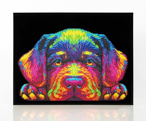 DIAMOND DOTZ 2594368 Original 5D Diamond Painting Set, Neon Hundewelpen, mit Neonfarben und Samt, DIY Diamant Malerei Bilder für Erwachsene und Kinder ab 12 Jahren, Intermediate DIAMOND DOTZ 2594368 Original 5D Diamond Painting Set, Neon Hundewelpen, mit Neonfarben und Samt, DIY Diamant Malerei Bilder für Erwachsene und Kinder ab 12 Jahren, Intermediate von DIAMOND DOTZ