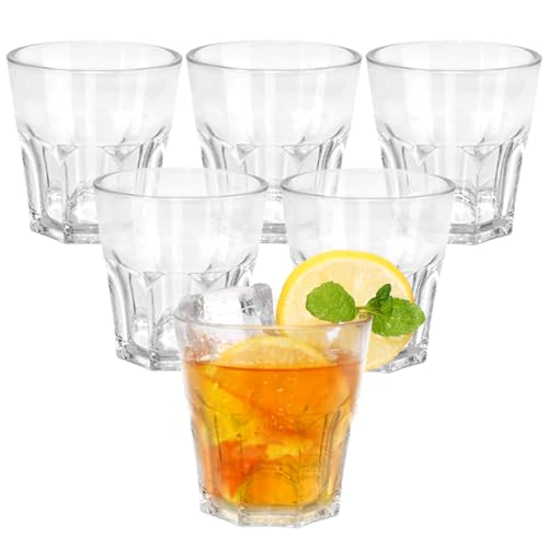 6 PCS Plastikbecher, 9.2 OZ Plastik Trinkbecher, 260ml Premium Transparent Becher Wiederverwendbar für Erwachsene Party, Stapelbarer Becher Plastik für Zuhause Camping Picknick BBQ (Transparently) von DIBALIYI