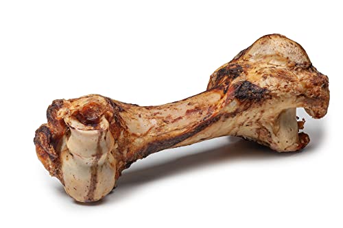 DIBO Mamut-Knochen, ca. 30cm, der kleine Naturkau-Snack oder Leckerli für Zwischendurch, Hundefutter, Qualitätskauartikel ohne Chemie von DIBO von DIBO