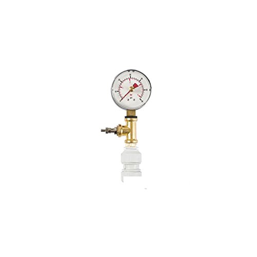 Dickie Dyer 403051 11.084 0–4 bar Trocken Test Gauge von DICKIE DYER