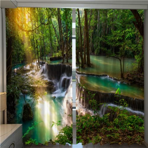 DICOIN Vorhang Blickdicht Mit Ösen 3D Mit Motiv Tropenwald 120X140 Vorhang Schlaufen Polyester Blickdicht Verdunkelung Thermo Gardinen Schallschutz Für Kinderzimmer Wohnzimmer Schlafzimmer,B37 DICOIN Vorhang Blickdicht Mit Ösen 3D Mit Motiv Tropenwald 120X140 Vorhang Schlaufen Polyester Blickdicht Verdunkelung Thermo Gardinen Schallschutz Für Kinderzimmer Wohnzimmer Schlafzimmer,B37 von DICOIN