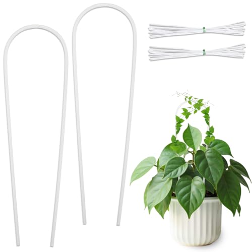 DICOSMETIC 2 Stück Acryl Topfpflanzen Trellis U Förmiges Pflanzen Trellis Transparent Kleine Zimmerpflanzen Trellis Mit 20 Stück Bindeschnüren Für Weinreben Efeu Hoya Zimmerpflanzen Blumenzucht von DICOSMETIC