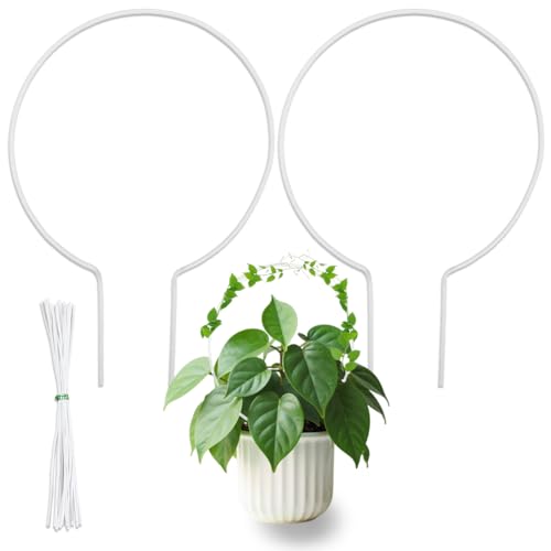 DICOSMETIC Rankgitter für Topfpflanzen, Acryl, rund, transparent, kleine Zimmerpflanzen, Rankgitter mit 10 Bindungsschnüren für Ranken, Efeu, Hoya, Zimmerpflanzen, Blumenstütze, 2 Stück DICOSMETIC Rankgitter für Topfpflanzen, Acryl, rund, transparent, kleine Zimmerpflanzen, Rankgitter mit 10 Bindungsschnüren für Ranken, Efeu, Hoya, Zimmerpflanzen, Blumenstütze, 2 Stück von DICOSMETIC