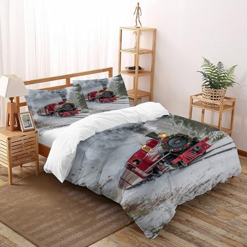 DICVXST 3D Gedruckt Winter Wunderland Zug Bettwäsche Set Jugendliche Kind Band Bettwäsche 3er Set Microfaser Kissenbezüge Mit ReißVerschluss Soft Double（200x200cm） von DICVXST