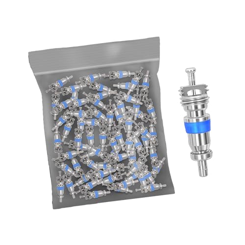 Ersatzventile mit Dichtung, Automobilzubehör für R410A R22 Klimaanlage, HVAC-Kerne, langlebiger AC-Kern Ersatzventile mit Dichtung, Automobilzubehör für R410A R22 Klimaanlage, HVAC-Kerne, langlebiger AC-Kern von DIDILLX