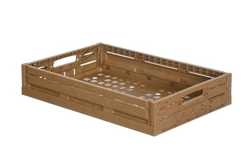 DIE BOX FABRIK Obst- und Gemüsekiste in Holzoptik | klappbare Obstkiste für Haus und Garten | Apfelkiste | Kunststoffkiste | Gemüsebox für Lagerung & Transport (1, 600x400x113 mm) von DIE BOX FABRIK