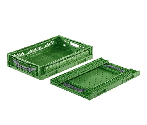 Obst- und Gemüsekiste Klappbox 600x400x120 mm | Erntekiste/Box für Obst und Gemüse | Obstkiste | Apfelkiste | klappbare Kiste aus Kunststoff für Einkäufe (1) von DIE BOX FABRIK