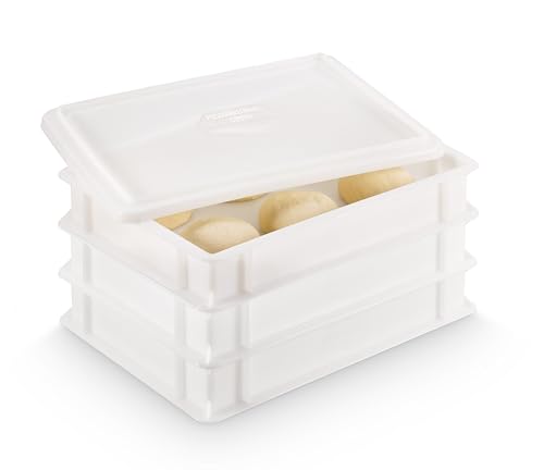 3x Pizzaballenbox Gusto + 1 Deckel, 40x30x7 cm | Gärbox, Teigwanne für Pizzateig. Teigbox für 6 Pizzaballen, Pizzateigbehälter (3x Gusto Box + 1x Deckel) von DIE BOX FABRIK