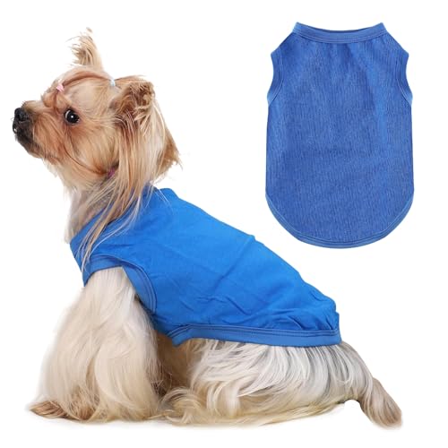 Kühlweste für Hunde, Kühlweste für Kleine Hunde, Hundes Kühlwestes, Coole und Bequeme Hundeweste für Den Sommer, Geeignet für Kleine und Mittelgroße Hundes/Blau S Kühlweste für Hunde, Kühlweste für Kleine Hunde, Hundes Kühlwestes, Coole und Bequeme Hundeweste für Den Sommer, Geeignet für Kleine und Mittelgroße Hundes/Blau S von DIELIANHUA
