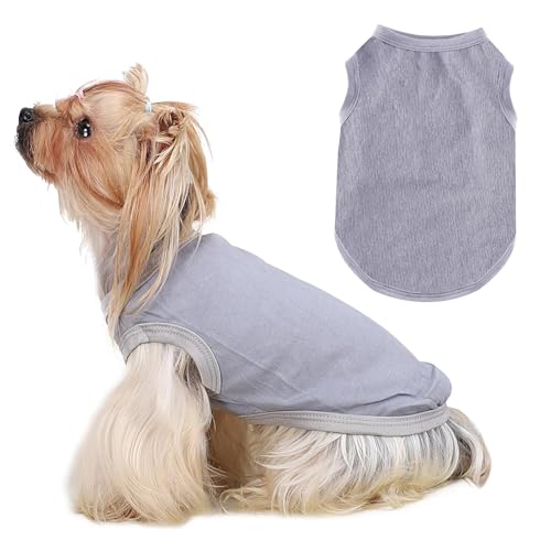Kühlweste für Hunde, Kühlweste für Kleine Hunde, Hundes Kühlwestes, Coole und Bequeme Hundeweste für Den Sommer, Geeignet für Kleine und Mittelgroße Hundes/Grau M Kühlweste für Hunde, Kühlweste für Kleine Hunde, Hundes Kühlwestes, Coole und Bequeme Hundeweste für Den Sommer, Geeignet für Kleine und Mittelgroße Hundes/Grau M von DIELIANHUA