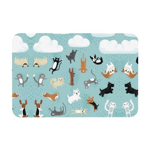 DIEzig Kieselgur mit Motiv "Raining Cats & Dogs", Herbstmatte, weiche Bodenmatte, Duschkissen, rutschfeste Gummi-Rückseite, 39,9 x 60,9 cm von DIEzig
