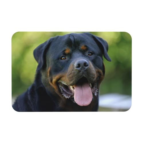 DIEzig Rottweiler Tapetendruck, Kieselgurmatte, Herbstmatte, weiche Bodenmatte, Duschkissen, rutschfeste Gummi-Rückseite, 39,9 x 60,9 cm von DIEzig