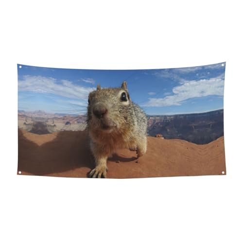 Halloween-Party-Banner mit Maus-Aufdruck, für Feiertage, 1 Stück, ideal für Halloween-Weihnachtsfeiern von DIEzig