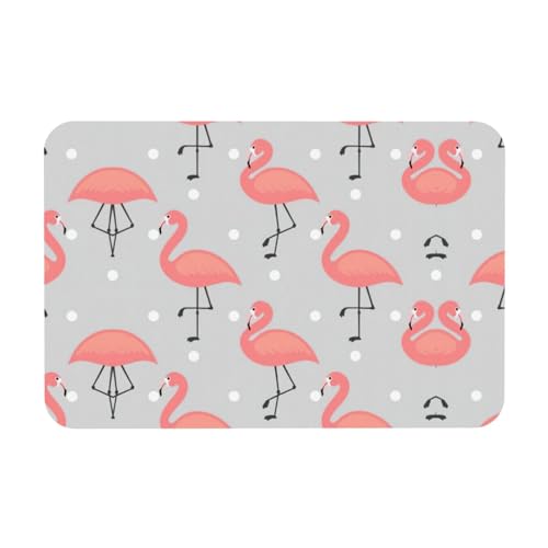 Kieselgur mit Flamingo-Druck, 39,9 x 60,9 cm, Herbstmatte, weiche Bodenmatte, Duschkissen, rutschfeste Gummi-Rückseite von DIEzig