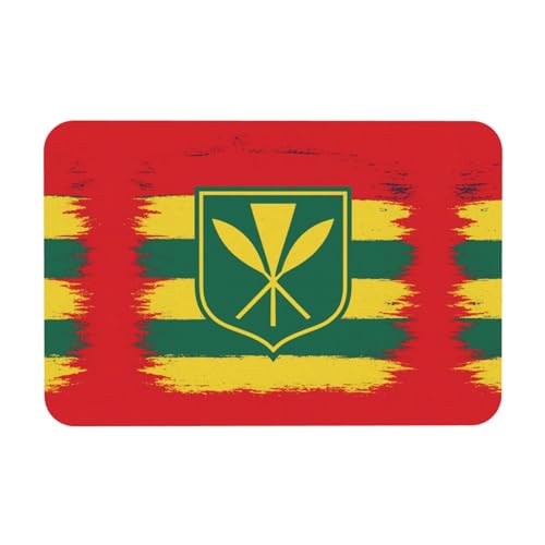Kieselgur mit Hawaii-Flagge, 39,9 x 60,9 cm, Herbstmatte, weiche Bodenmatte, Duschkissen, rutschfeste Gummi-Rückseite von DIEzig