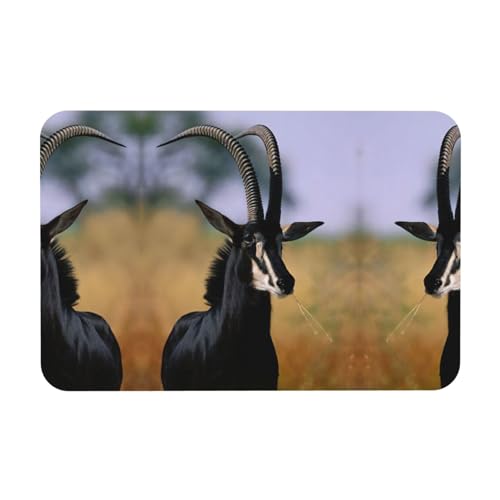 Sable Antilope-Druck, Kieselgur-Matte, Herbstmatte, weiche Bodenmatte, Duschkissen, rutschfeste Gummi-Rückseite, 39,9 x 60,9 cm von DIEzig